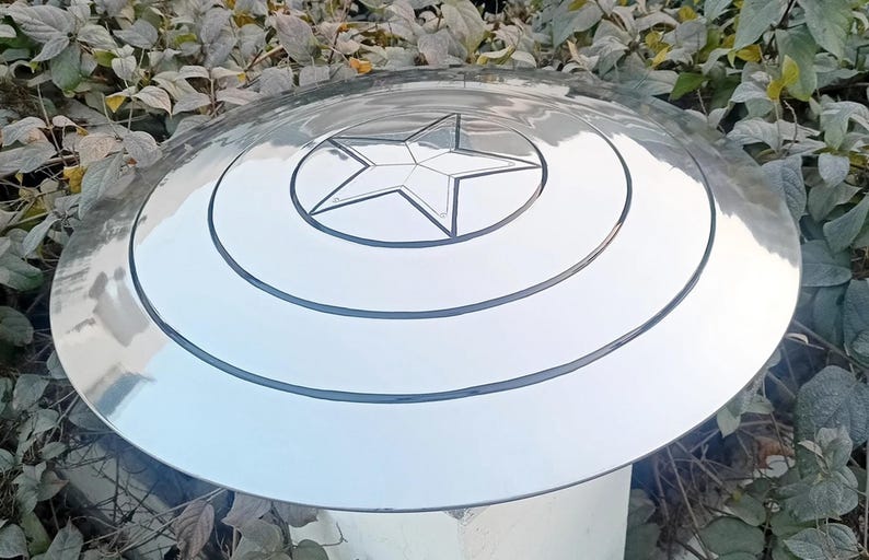 May include: A silver-colored, circular shield with a central white star design. The shield has concentric black lines and a reflective surface, set against a backdrop of green foliage.