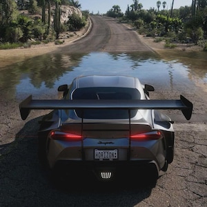May include: A silver sports car with a large rear wing is parked on a wet road. The car has red taillights and a license plate that reads "HORIZON". The scene is set in a desert environment with trees and a road.