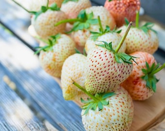 Seeds. Japanese GOURMET Strawberries 'Momo Ichigo' (Peach