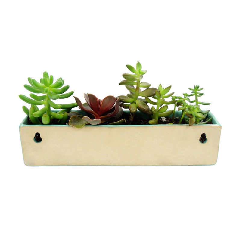 Ceramic Wall Garden