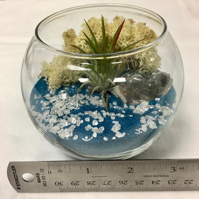 ZODIAC LIBRA Terrarium birthday gift etsy ny birthday baby Etsy