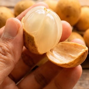 May include: A hand holding a partially peeled longan fruit, showing the translucent, juicy flesh. The fruit has a light brown, textured skin. Other longan fruits are in the background, on a wooden surface.