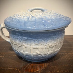May include: A ceramic chamber pot with a lid, featuring a light blue and white gradient finish. The exterior surface is decorated with a raised, embossed pattern of climbing vines and flowers over a grid-like texture, including a side handle.