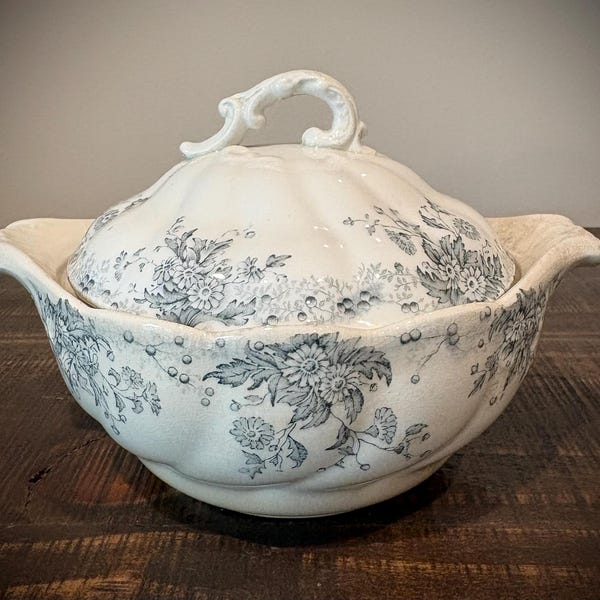 Vintage WH Grindley & co. England- Marguerite Sugar Bowl