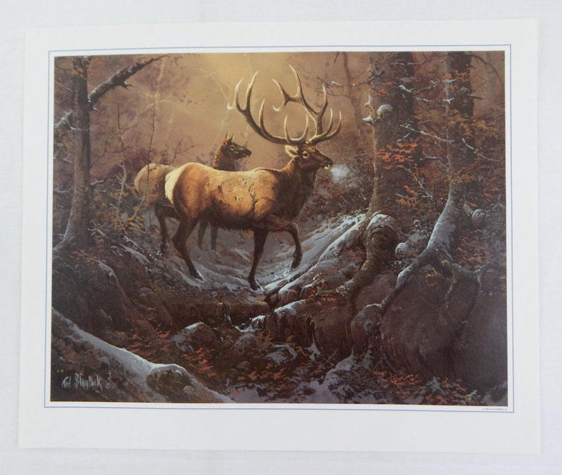 Vintage 1985 Ted Blaylock Squirrel Print