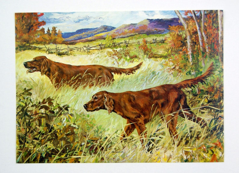 Vintage 1970/'s Stanford Fenelle Teammates Golden Retriever Print