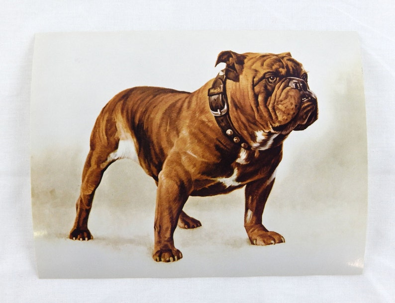 Vintage 1970/'s Mack Trucks Bulldog Print Never Used