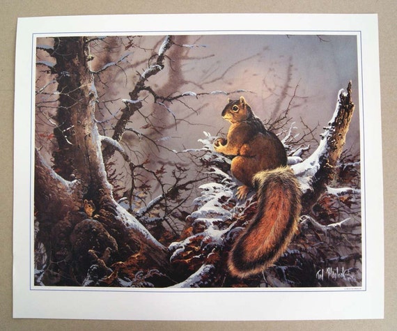Vintage 1985 Ted Blaylock Squirrel Print