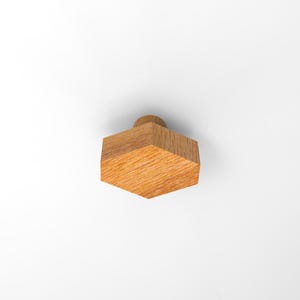 Può includere: Un pomello esagonale in legno con un visibile motivo a venature naturali. L'oggetto presenta una faccia anteriore piatta e una base cilindrica, mostrando un caldo colore marrone chiaro su tutta la superficie in legno di questo componente.