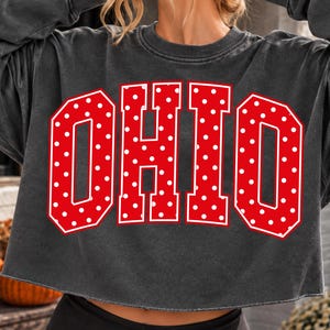 Peut inclure: Un sweat-shirt court gris anthracite arborant le mot OHIO en grandes lettres majuscules rouges et grasses. Les lettres sont remplies d'un motif à pois blancs et soulignées de blanc. Le sweat-shirt a des manches longues avec des poignets côtelés.