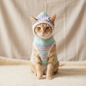 May include: A ginger cat wearing a handmade crochet hoodie and vest. The cat's outfit features pastel stripes of blue, green, pink, and purple. The cat is sitting on a white, fluffy surface, with a neutral background.