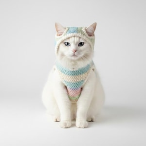 May include: A white cat wearing a pastel-colored crocheted hat and harness. The hat has ear cutouts, and the harness is striped with blue, green, pink, and cream. The cat is sitting and looking directly at the camera against a white background.