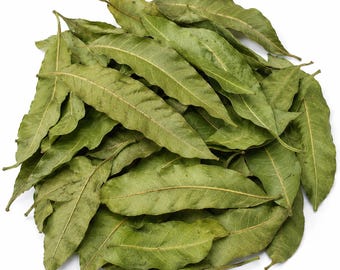 Hojas de mango, Mango leaves, Hoja de mango, MANGO leaf, mango Tea, Atioxidant rich organic mexican herbs