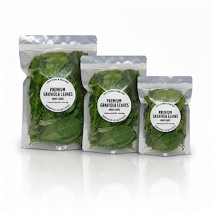 Op de afbeelding: Drie transparante zakken gevuld met groene, gedroogde graviola bladeren. Elke zak heeft een wit etiket met de tekst "Premium Graviola Leaves" en "100% Pure & Organic". De zakken zijn in verschillende maten.