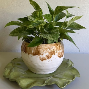 May include: A potted plant with green and white variegated leaves sits in a round, white and brown glazed ceramic pot. The pot rests on a large, green, leaf-shaped ceramic dish. The plant and pot are on a light gray surface.