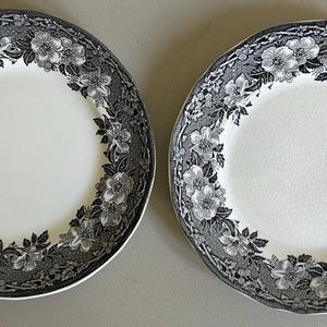 Vintage Enoch Wedgwood Malverne Plates (Set of 2) – Black Floral Transferware England Cottage Decor