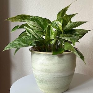 May include: A white ceramic mug with a black handle and the text "But First, Coffee" in a bold, black font. The mug is set against a blurred background, suggesting a cozy setting.