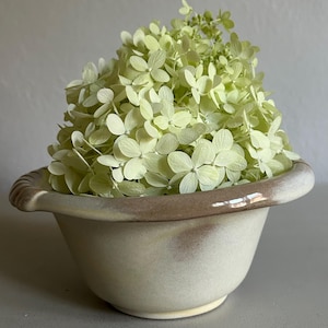 May include: A ceramic bowl with a matte off-white finish and a wide, rounded rim featuring a soft brown gradient. The bowl is filled with a large, dense cluster of pale lime-green hydrangea flowers that rise above the rim in a rounded shape.