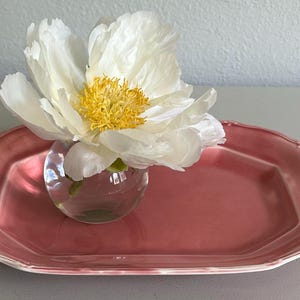 May include: A white peony flower with a yellow center sits in a small glass vase on a pink rectangular serving tray. The tray has a decorative edge and is set against a neutral background.