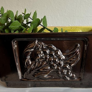 May include: A rectangular brown ceramic planter with a raised relief design of a cluster of grapes. The interior is yellow, and it contains green leafy stems. The planter is a decorative item for home decor.
