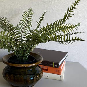 May include: A decorative, dark green ceramic pot with a fern plant. The pot has a glossy finish and a textured design. Three books are stacked behind the plant, with titles visible. The books have brown, orange, and white covers.