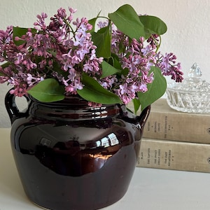 May include: A dark brown, glazed ceramic jug with two handles, filled with purple lilac flowers and green leaves. A clear glass dish with a lid and two stacked books are in the background.
