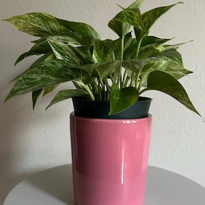 Vintage Haeger Pink Ceramic Vase Planter – Mid Century USA Pottery Desk Organizer