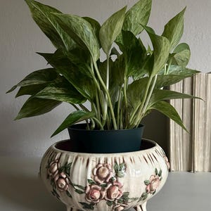 May include: A variegated green and white pothos plant in a dark plastic nursery pot, set inside a round, cream-colored ceramic planter with vertical fluting, three small feet, and a raised relief pattern of pink roses and green leaves.