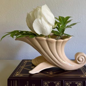 May include: A peach-colored ceramic vase in a shell shape, holding a large white peony and green leaves. The vase sits on a dark book with gold lettering. The vase has a fluted design and a curled end.