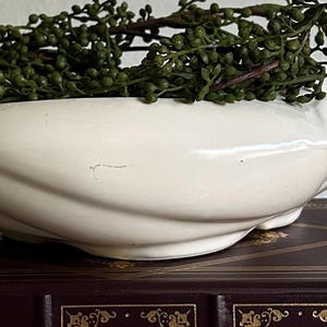 May include: A white ceramic bowl with a smooth, elongated, and curved shape, featuring a sculpted animal head at one end. The bowl is filled with a decorative cluster of small, dark green, berry-like sprigs that drape over the edges of the vessel.