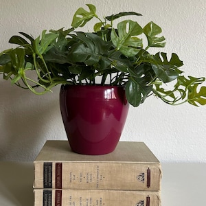 May include: A burgundy ceramic pot filled with green, leafy plants. The pot sits atop two vintage books with faded covers and text. The plant has large, split leaves, and the pot has a glossy finish.