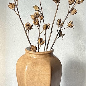 May include: A tan ceramic vase with a geometric shape holds dried seed pods on slender stems. The vase has a glossy finish and sits on a white surface. The dried flowers are a light brown color.