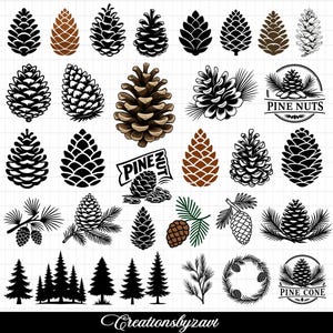 Pine Cone SVG Bundle, Woodland Clipart, Pine Tree SVG, Pine Cone SVG, Evergreen Tree Clipart, Pine Cone On Tree Branch, (Digital Download)