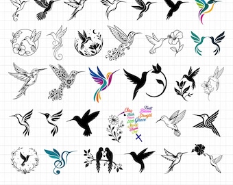 Paquete de imágenes SVG de colibríes / Siluetas y clipart de aves / Patrón de colibrí / Ave con flores / Colibrí SVG / Descarga digital