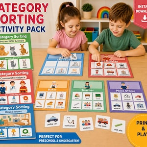 100+ Category Sorting Cards Printable, Montessori Sorting Activity, Preschool Learning, Special Education, Toddler Busy Book