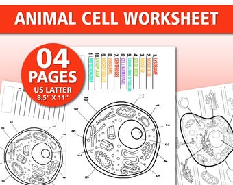 Animal Cell Worksheet Printable | Biology Cell Diagram Labeling Activity | Science Worksheet for Kids | Classroom & Homeschool PDF
