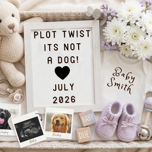May include: A baby announcement basket with a white sign that reads "PLOT TWIST ITS NOT A DOG!" with a heart and the date July 2026. The basket includes a teddy bear, baby clothes, ultrasound photo, and baby shoes.