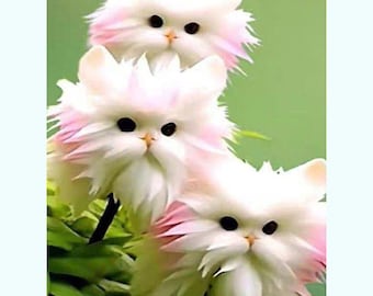 50 Big Cat Face Orchid Seeds – Fragrant Exotic Orchid Blooms – Rare Potted Garden Plant