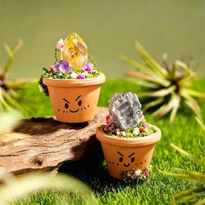 May include: Two small terracotta pots with hand-drawn faces, each containing a crystal and miniature flowers. One pot features a large yellow crystal, the other a gray crystal. The pots sit on a piece of wood.