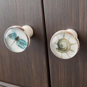 Libelle, Muschel Knauf, Vintage Schubladenknauf