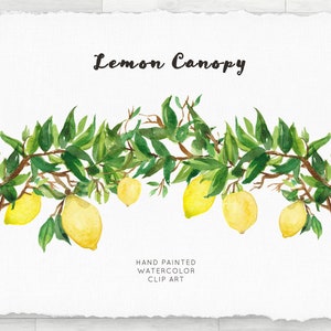 Watercolor PNG Clip Art Lemon Canopy Border, Transparent Individual PNG image 1