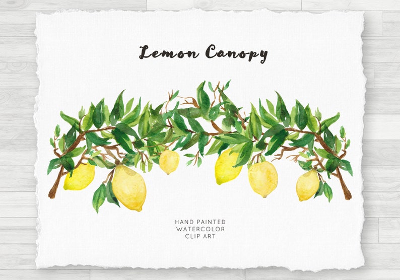 Watercolor PNG Clip Art Lemon Canopy Border, Transparent Individual PNG image 1