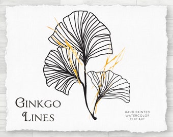 Watercolor PNG Clip Art - Gingko Leaf, Ginkgo Illustration, Transparent Individual PNG