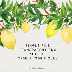 Watercolor PNG Clip Art Lemon Canopy Border, Transparent Individual PNG image 2