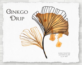 Watercolor PNG Clip Art - Gingko Leaf Drip Illustration, Transparent Individual PNG