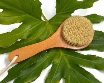 Dry Brush Natural Bristle, Eco Friendly Plastic Free, Detox Dry Body Brushing, Vegan Dry Skin Brush
