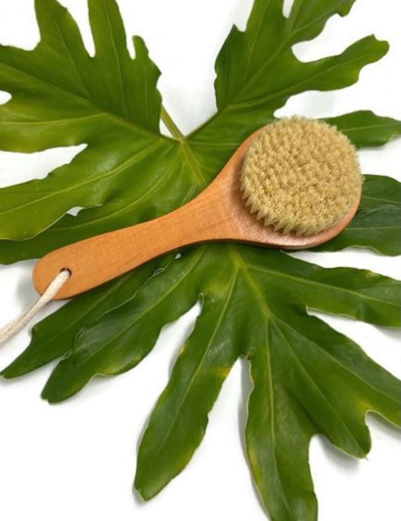 Dry Body Brush Detox Vegan Dry Body Brushing Eco Friendly Etsy