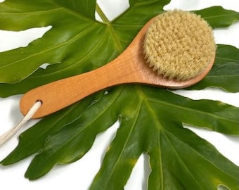 Dry Body Brush, Eco Friendly Self Care Dry Skin Brushing, Vegan Dry Body Brush for Cellulite, Good Health