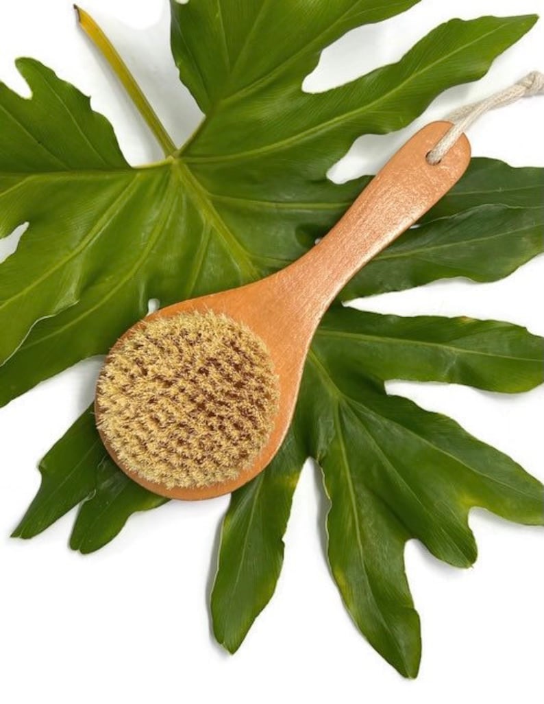 wildvioletta Body Brush - Thumbnail 4