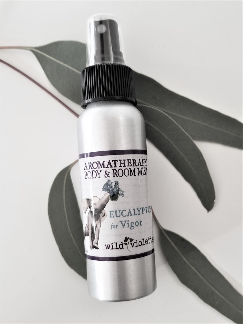 Room Deodorizing Spray for Stinky Pets Refresh Rooms Yoga Etsy